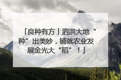 良种有方丨泗洪大地“种”出美妙，铺就农业发展金光大“稻”！