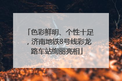 色彩鲜明、个性十足，济南地铁8号线彩龙路车站绚丽亮相