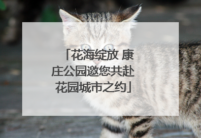 花海绽放 康庄公园邀您共赴花园城市之约