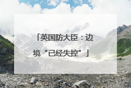 英国防大臣：边境“已经失控”