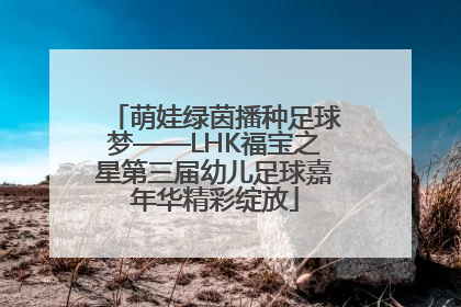 萌娃绿茵播种足球梦——LHK福宝之星第三届幼儿足球嘉年华精彩绽放