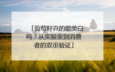 葡萄籽真的能美白吗？从实验室到消费者的双重验证