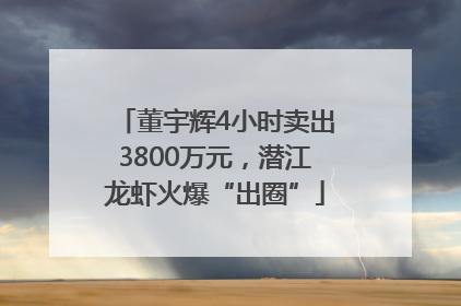 董宇辉4小时卖出3800万元，潜江龙虾火爆“出圈”