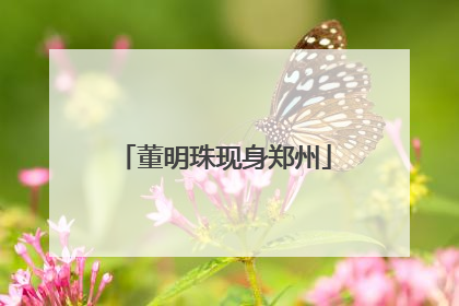 董明珠现身郑州