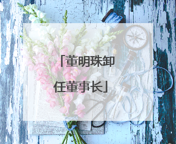 董明珠卸任董事长
