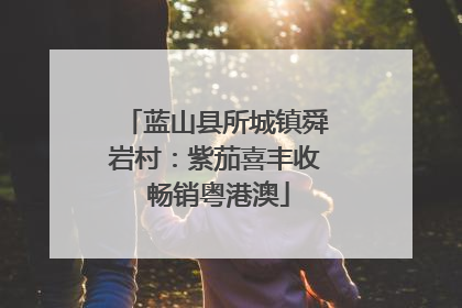蓝山县所城镇舜岩村：紫茄喜丰收 畅销粤港澳