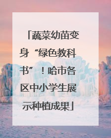 蔬菜幼苗变身“绿色教科书”！哈市各区中小学生展示种植成果