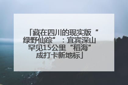 藏在四川的现实版“绿野仙踪”：宜宾深山罕见15公里“稻海”成打卡新地标