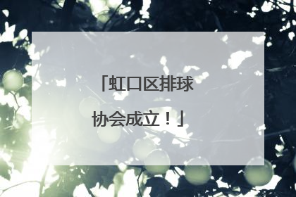 虹口区排球协会成立！