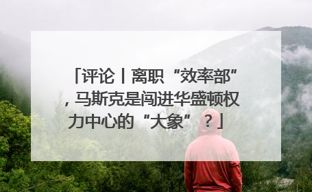 评论丨离职“效率部”，马斯克是闯进华盛顿权力中心的“大象”？