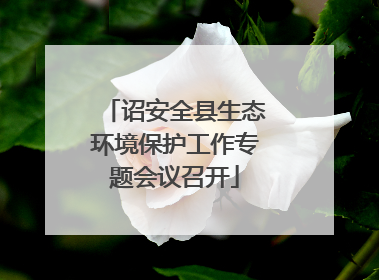诏安全县生态环境保护工作专题会议召开