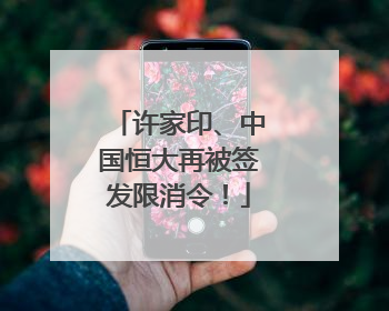 许家印、中国恒大再被签发限消令！