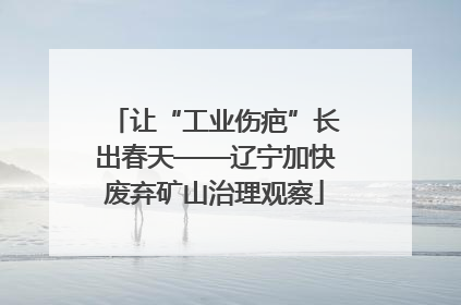 让“工业伤疤”长出春天——辽宁加快废弃矿山治理观察