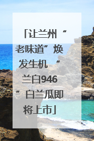 让兰州“老味道”焕发生机 “兰白946”白兰瓜即将上市