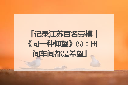 记录江苏百名劳模｜《同一种仰望》⑤：田间车间都是希望