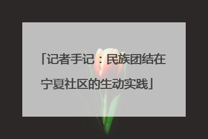 记者手记：民族团结在宁夏社区的生动实践