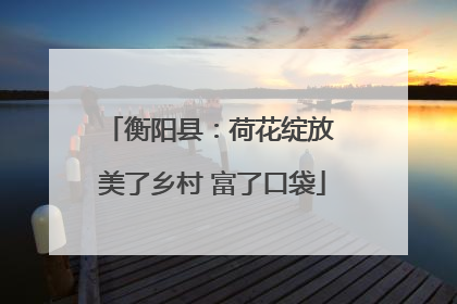 衡阳县：荷花绽放 美了乡村 富了口袋