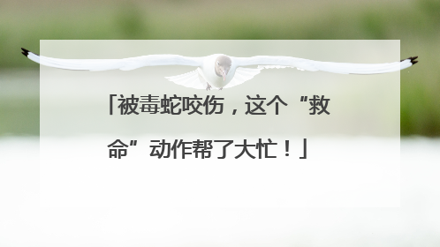 被毒蛇咬伤，这个“救命”动作帮了大忙！