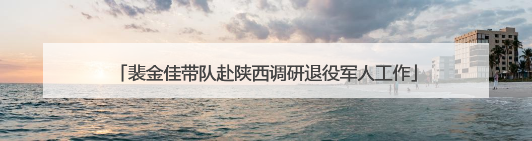 裴金佳带队赴陕西调研退役军人工作
