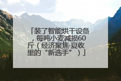 装了智能烘干设备，每吨小麦减损60斤（经济聚焦·夏收里的“新选手”）