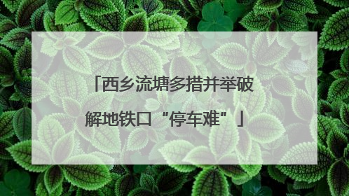 西乡流塘多措并举破解地铁口“停车难”
