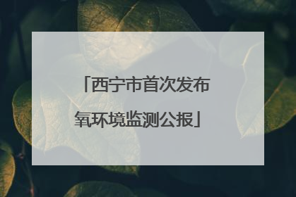 西宁市首次发布氧环境监测公报