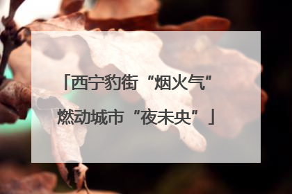 西宁豹街“烟火气” 燃动城市“夜未央”
