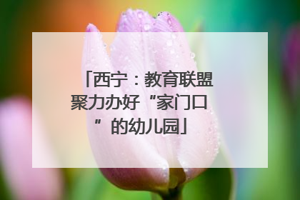 西宁：教育联盟聚力办好“家门口”的幼儿园