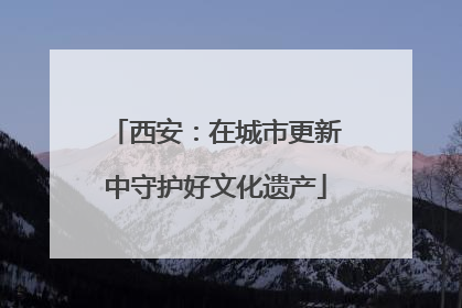 西安：在城市更新中守护好文化遗产