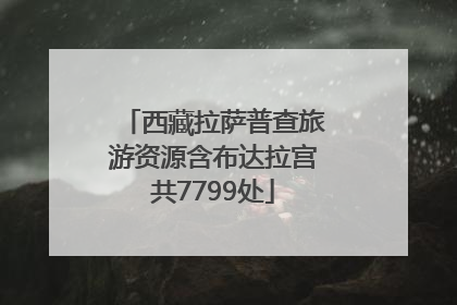 西藏拉萨普查旅游资源含布达拉宫共7799处