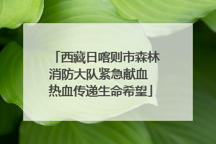 西藏日喀则市森林消防大队紧急献血 热血传递生命希望