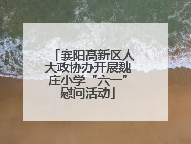 襄阳高新区人大政协办开展魏庄小学“六一”慰问活动