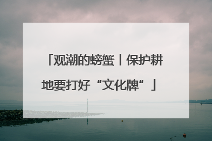 观潮的螃蟹丨保护耕地要打好“文化牌”