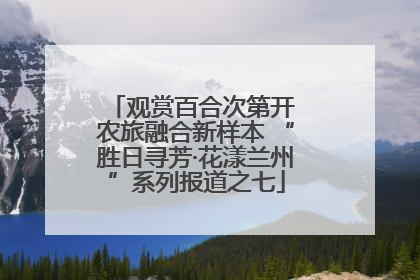 观赏百合次第开 农旅融合新样本 “胜日寻芳·花漾兰州”系列报道之七
