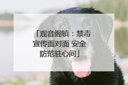 观音阁镇：禁毒宣传面对面 安全防范驻心间