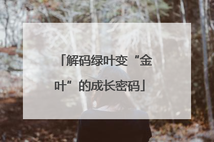 解码绿叶变“金叶”的成长密码