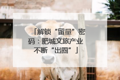 解锁“留量”密码：肥城文旅产业不断“出圈”