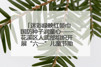 迷彩绿映红领巾 国防种子润童心——花溪区人武部组织开展“六一”儿童节助学兴教活动