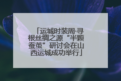 运城时装周·寻根丝绸之源“半颗蚕茧”研讨会在山西运城成功举行