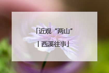 近观“两山”丨西溪往事