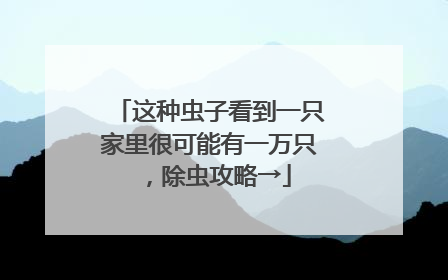 这种虫子看到一只家里很可能有一万只，除虫攻略→