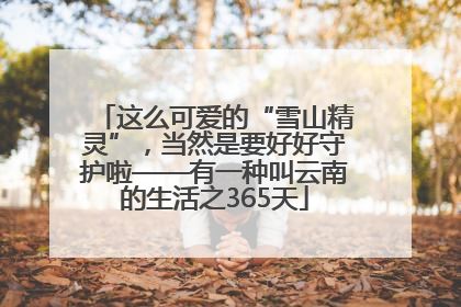这么可爱的“雪山精灵”，当然是要好好守护啦——有一种叫云南的生活之365天