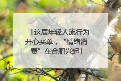 这届年轻人流行为开心买单，“情绪消费”在合肥兴起