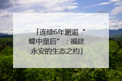连续6年邂逅“蝶中皇后”：福建永安的生态之约