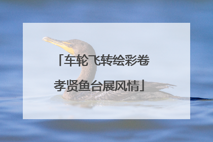 车轮飞转绘彩卷 孝贤鱼台展风情