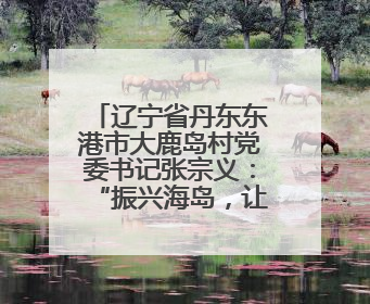 辽宁省丹东东港市大鹿岛村党委书记张宗义：“振兴海岛，让乡亲们都过上好日子”