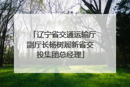 辽宁省交通运输厅副厅长杨树履新省交投集团总经理