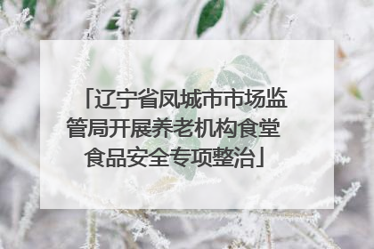 辽宁省凤城市市场监管局开展养老机构食堂食品安全专项整治