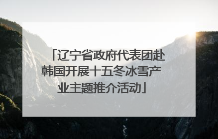 辽宁省政府代表团赴韩国开展十五冬冰雪产业主题推介活动
