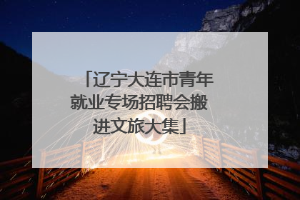 辽宁大连市青年就业专场招聘会搬进文旅大集
